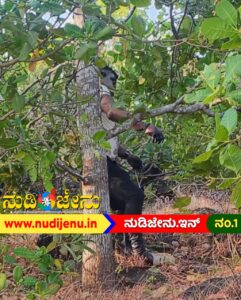 ANKOLA|ಅರಣ್ಯ ಪ್ರದೇಶದಲ್ಲಿ ಅಪರಿಚಿತ ವ್ಯಕ್ತಿ ನೇಣಿಗೆ ಶರಣು!