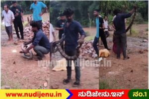 ಮನೆಯೊಳಗೆ ಸೇರಿಕೊಂಡಿದ್ದ ಬರೋಬ್ಬರಿ 16 ಅಡಿಯ ಕಾಳಿಂಗ ಸರ್ಪ ಸೆರೆ! ನಿಟ್ಟುಸಿರು ಬಿಟ್ಟ ನಿವಾಸಿಗಳು