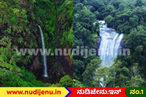 ಸಿಂಗಳಿಕ ಅಭಯಾರಣ್ಯದಲ್ಲಿ ಅಪಾಯಕಾರಿ ಸಾಹಸ; ‘ಲೋಕಲ್ ಮ್ಯಾಪ್ಸ್’ ತಂಡದ ಐವರ ವಿರುದ್ಧ ಎಫ್‌ಐಆರ್​